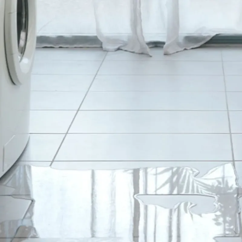Appliance Leak Cleanup in Carolina Beach, NC