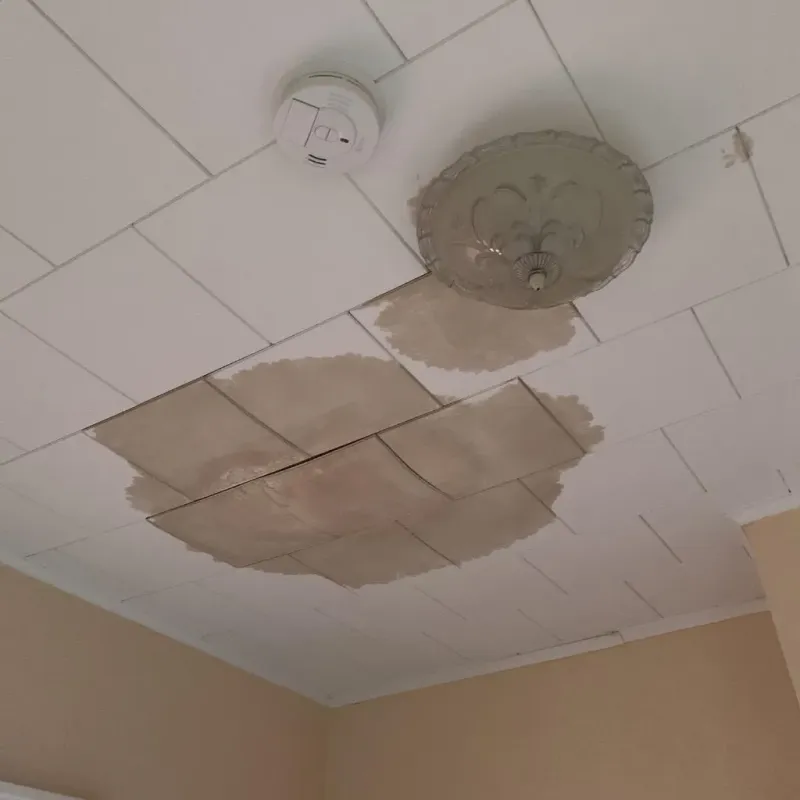 Ceiling Water Damage Repair in Carolina Beach, NC